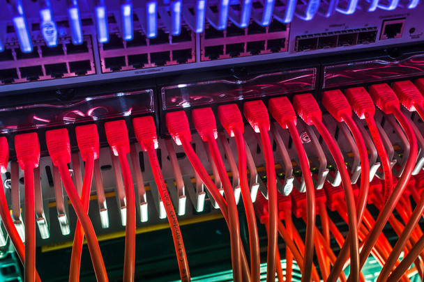Przewody Ethernet do serwera w celu przesyłania metadanych i połączenia sieciowego - Zdjęcie, obraz