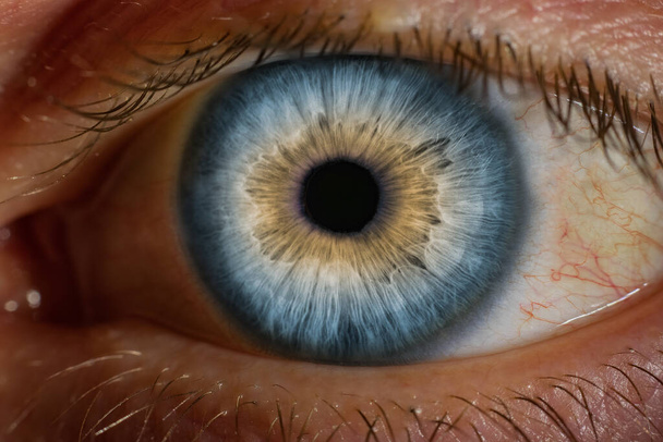 Makro zbliżenie obraz ludzkiego oka - Zdjęcie, obraz