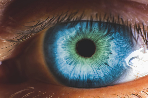Macro close-up beeld van het menselijk oog - Foto, afbeelding