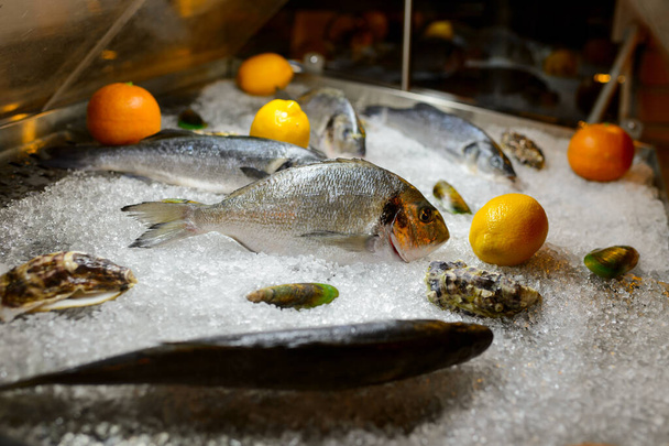 Fisch und Meeresfrüchte auf der Ladentheke mit Eis für Kunden, Fischereierzeugnisse - Foto, Bild