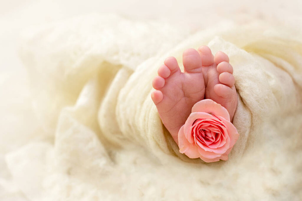 Los pies de un bebé recién nacido. Niña recién nacida. Dedos de un niño pequeño con una flor rosa. La ternura de una nueva vida. Copiar espacio. - Foto, imagen