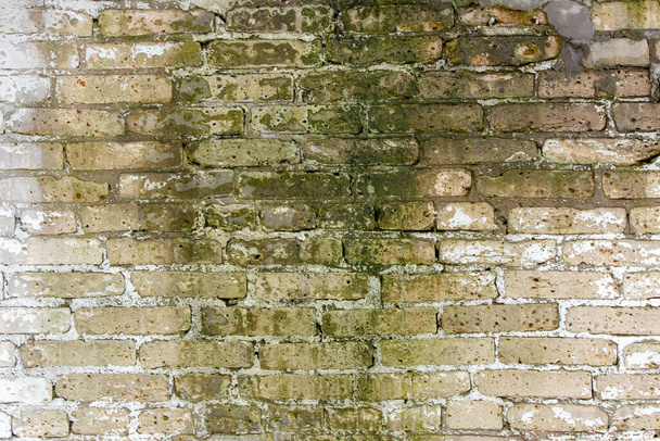 古い風化大まかなレンガの壁の背景 ロイヤリティフリー写真 画像素材