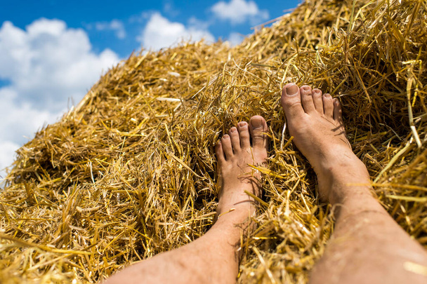 мужские ноги в сене после сбора урожая, сено сельскохозяйственное с собранными культурами
. - Фото, изображение