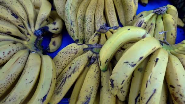 Verse bananen in blauwe kratten klaar voor verkoop op de markt. - Video