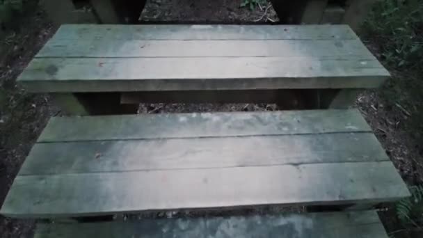 Loop omhoog via houten trappen met hekwerk in het bos. Pov wandelen de trappen op en kijken naar een uitzicht - Video