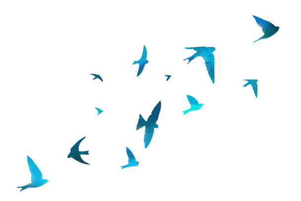 Блакитні ластівки. Літаюча зграя птахів. Векторні ілюстрації
 - Вектор, зображення