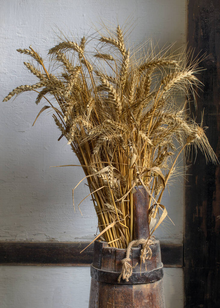 Tallos de trigo colocados en un recipiente de madera en el pueblo
. - Foto, imagen