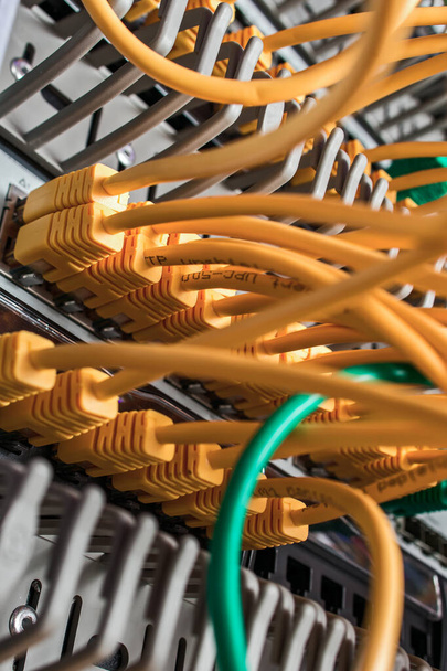 Internet wires in the server cabinet - Fotó, kép