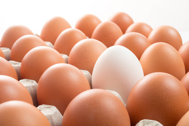 white chicken egg among brown in the tray storage - Zdjęcie, obraz