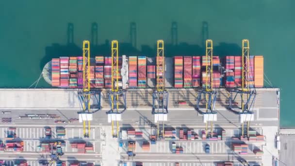 Crane 'in ithalat ticaret lojistiğinde yükleme konteynırları ile uluslararası limanın hiperlapse zaman ayarlı hava görüntüsü. Sanayi lojistik limanı. Endüstriyel limanda konteyner gemisi. Kamera B kaydı. - Video, Çekim