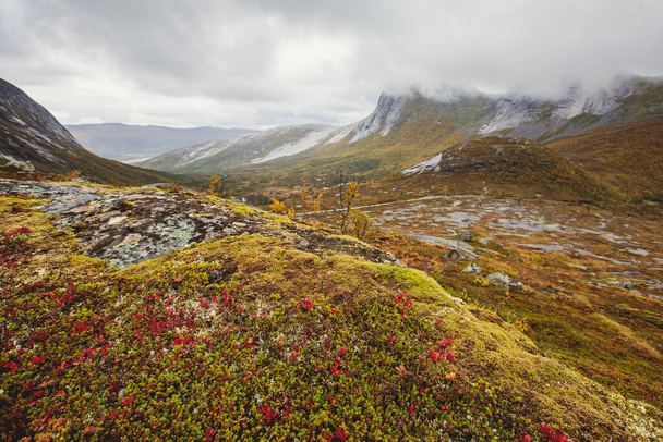 Norwegian mountain landscape during hiking to Halls Fortopp peak, with a view on Stetind, Northern Norway, Nordland county, municipality of Tysfjord, Ofoten, with fjord and lak - Valokuva, kuva