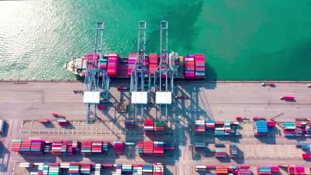 Containerschip, Business logistiek import-export transport internationaal en vervoer van containers in de haven, Scheepvaart containergebouwen, Luchtfoto van Scheepvaart container wereldwijd - Video