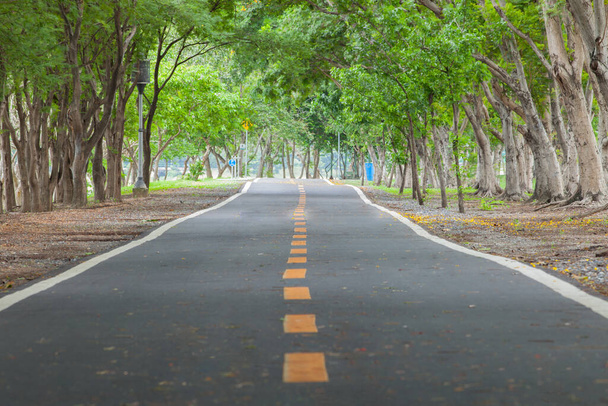 Callejuelas vacías de carretera en el parque entre el árbol en la ubicación del atardecer en Bangkok Tailandia
 - Foto, Imagen