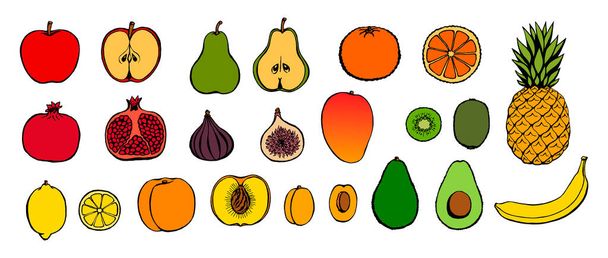 Vector χέρι ζωγραφισμένα φρούτα σύνολο εικονίδιο. Διακοσμητικά ρετρό στυλ συλλογή γεωργικών προϊόντων μενού εστιατόριο, ετικέτα της αγοράς. - Διάνυσμα, εικόνα