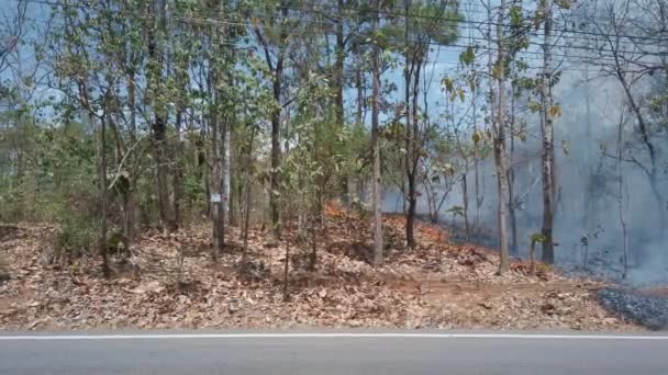 İklim krizi. Kurak mevsimde, ulusal parkta yer yangını. Araba yol boyunca kameranın önünde gidiyor. Orman yangınlarıyla yağmur ormanlarının yok edilmesi. 4K çerçeve - Video, Çekim