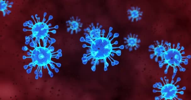 Coronavirus hücreleri. Solunum enfeksiyonlarına neden olan bir grup virüs. 3B görüntüleme döngüsü 4k - Video, Çekim