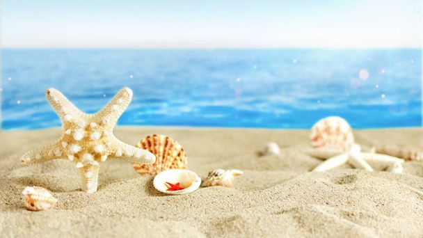 Caraïbes étoiles de mer dorées et variété de coquillages sur la plage de sable au-dessus de l'océan turquoise. Contexte d'été
. - Photo, image