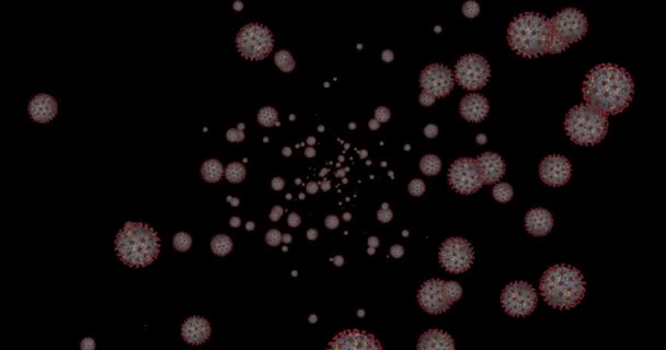 Coronavirus-Zellen COVID-19 Infektionskrankheit auf schwarzem Hintergrund. Schnelle Übertragung von Krankheiten. Hohe Konzentration von Coronavirus. 3D-Rendering-Schleife 4k mit Alphakanal - Filmmaterial, Video