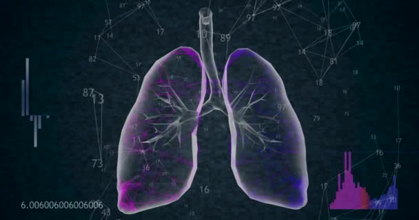 Rotating 360 low polygonal lungs 3D model on black background with animated numbers. 4k - Footage, Video