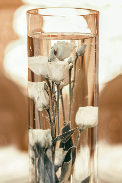 bílá růže ponořená do vody. skleněná cibule s květinou - Fotografie, Obrázek