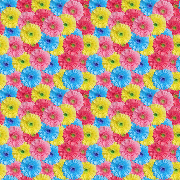 Seamless pattern of many colorful gerbera flowers, bright multi-colored daisy flower repeating ornament, beautiful summer floral art wallpaper, spring backdrop, decorative textured vivid background - Photo, Image