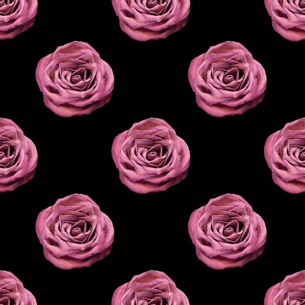 Seamless pattern of pink rose flower on black background isolated close up, burgundy roses repeating ornament, red flowers trendy print design, purple floral art backdrop, romantic vintage wallpaper - Photo, Image