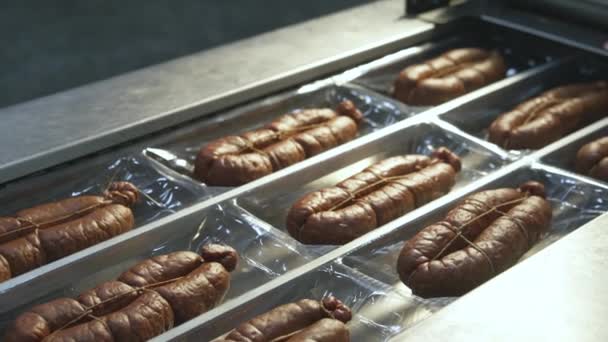 λουκάνικο μεταφοράς κρέατος εργοστάσιο βιομηχανίας κρέατος γραμμή παραγωγής - Πλάνα, βίντεο