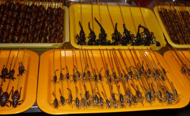 sült skorpiók - Fotó, kép