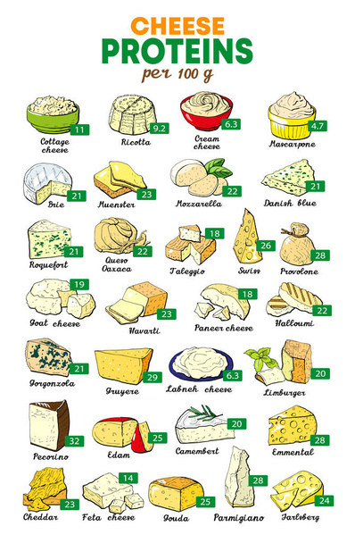 Nutrientes de ilustración vectorial por 100 gramos de queso tabla suplemento dietético
  - Vector, Imagen