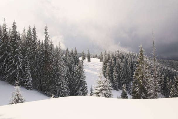 nieve, niebla, pico nevado en las montañas
 - Foto, imagen