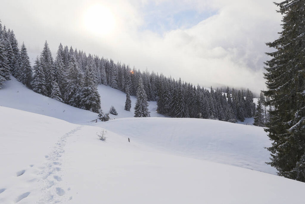 雪、霧、雪、山の中のピークキャップ - 写真・画像