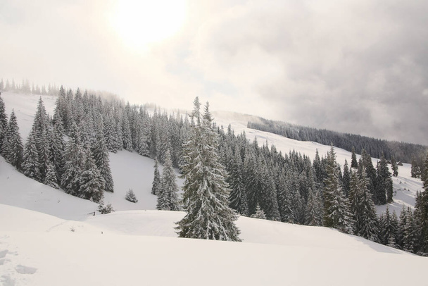 neve, nevoeiro, pico coberto de neve nas montanhas
 - Foto, Imagem