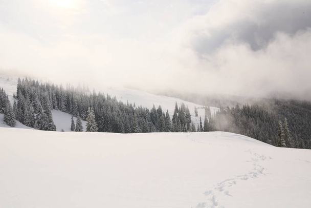 sneeuw, mist, besneeuwde top in de bergen - Foto, afbeelding