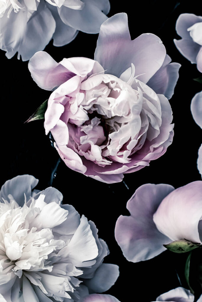 Pastel peony flowers as floral art background, botanical flatlay and luxury branding - Foto, imagen