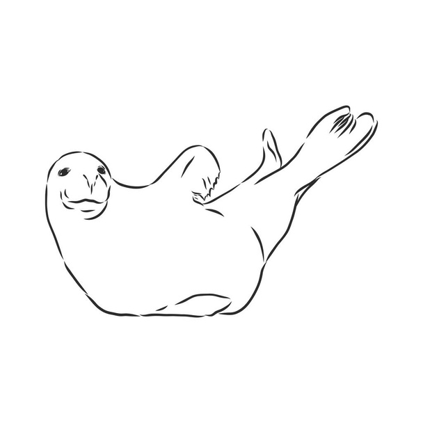 divertido boceto de un león marino aumentado con la inscripción bodypositive. También se puede utilizar para el tema ecológico
. - Vector, Imagen