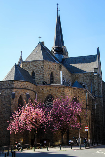 聖十字架教会の裏側(Eglise de la Saint-Croix)で、ピンク色の花が咲きます。 - 写真・画像