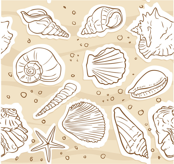 seamless pattern from shells on the sand - Photo, Image