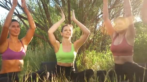 Glückliche Frauen in der Gruppe machen Yoga sitzend in Lotusposition, Körperübungen zusammen - Filmmaterial, Video