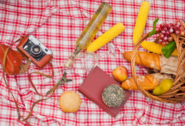 French retro style picnic. Basket with fruit, baguette, book, retro camera on a checkered red tablecloth outdoors - Photo, Image