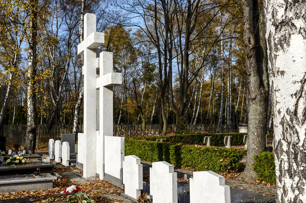 symboliczny grób sibir emigracji w Warszawie - Zdjęcie, obraz