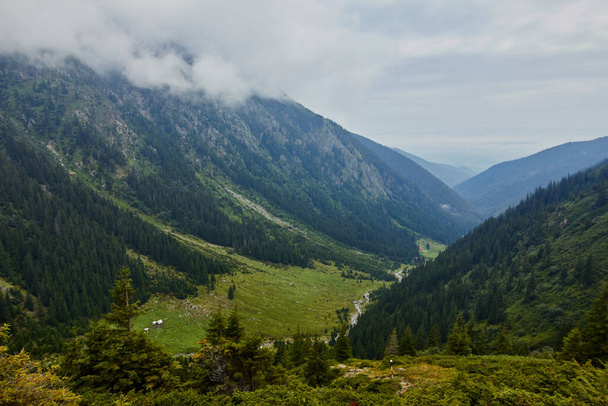 A nyári hegyek fenséges tájai. Kilátás sziklás csúcsok és tűlevelű erdők ködben. Fagaras-hegység. Erdély. Románia. Vad természet pihentető háttér. - Fotó, kép