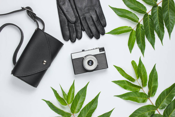 Kožená taška, rukavice, retro kamera na bílém pozadí se zelenými tropickými listy. Horní pohled - Fotografie, Obrázek