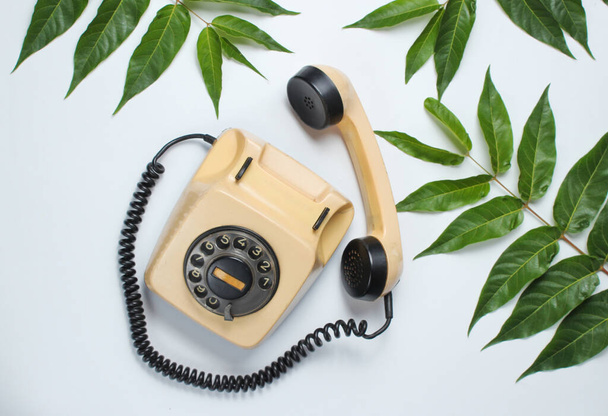 Retrotyylinen tausta. Pyörivä puhelin trooppisten vihreiden lehtien joukossa valkoisella taustalla. Yläkuva - Valokuva, kuva