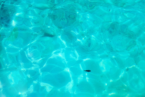 Bleu cristal clair fond de texture de l'eau de mer, turquoise transparent surface de l'océan gros plan, réflexion de la lumière du soleil, vert aqua abstrait motif naturel toile de fond, petits poissons de baignade sous l'eau
 - Photo, image
