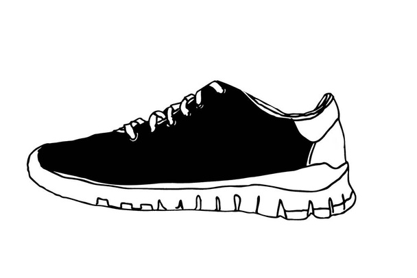 illustrazione di sneakers da donna su sfondo bianco
. - Foto, immagini