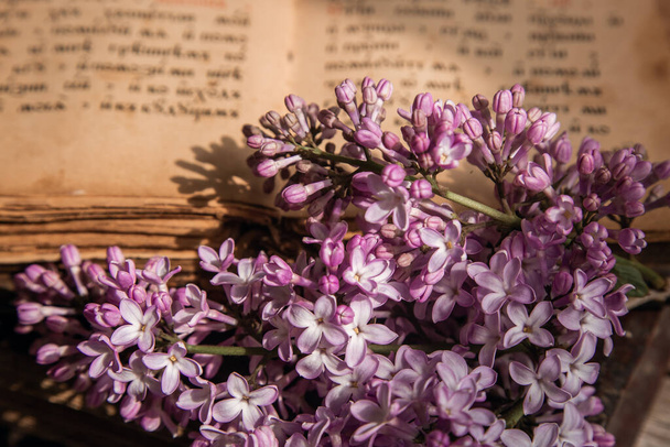 Friss lila orgona csokor egy nyitott antik könyvön, világos bézs háttérrel. Vintage csendélet meleg színekben, közelről. - Fotó, kép