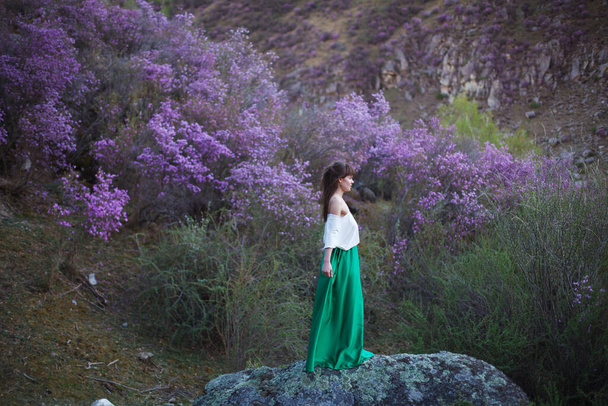 Tyttö kävelee kukkien kukassa vuoristomaiseman taustalla. Ledum kukkii Altain vuorilla. - Valokuva, kuva