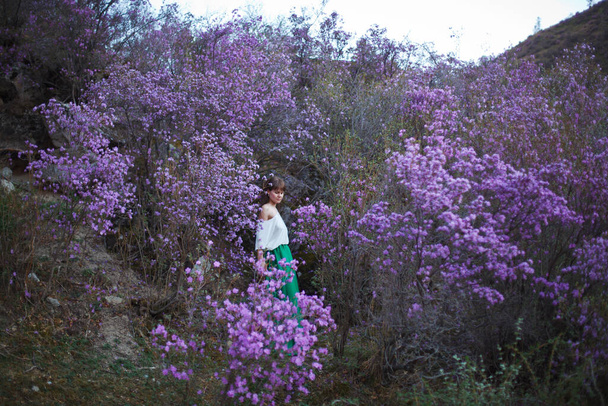 Een meisje loopt in bloei van bloemen tegen de achtergrond van een berglandschap. Ledum bloeit in het Altai gebergte. - Foto, afbeelding