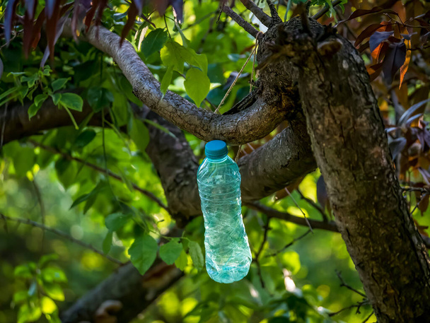 Uma garrafa de água parada amarrada ao galho de uma árvore
 - Foto, Imagem