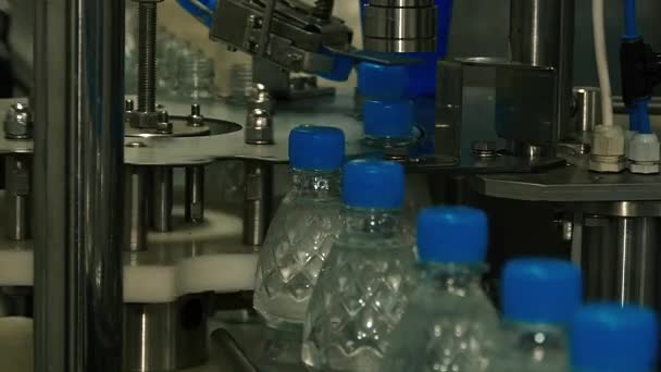 Plastic flessen bewegen langs de transporteur - Video